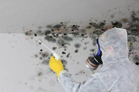 Best Crawl Space Mold Remediation  in Lake Winnebago, MO